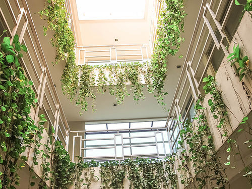 Legreen Suite Pejompongan Jakarta Exterior photo